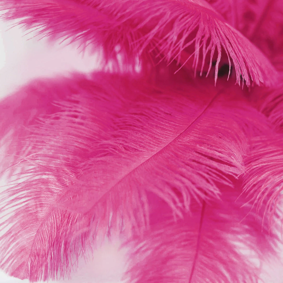 Silkflowersfactory 12 Pack | 13"-15" Natural Plume Real Ostrich Feathers Vase Centerpiece - Fushia 10 Silkflowersfactory 12 Pack | 13"-15" Natural Plume Real Ostrich Feathers Vase Centerpiece - Fushia
