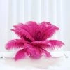 Silkflowersfactory 12 Pack | 13"-15" Natural Plume Real Ostrich Feathers Vase Centerpiece - Fushia 1 Silkflowersfactory 12 Pack | 13"-15" Natural Plume Real Ostrich Feathers Vase Centerpiece - Fushia