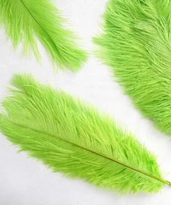 Silkflowersfactory 12 Pack | 13"-15" Natural Plume Real Ostrich Feathers Vase Centerpiece - Green