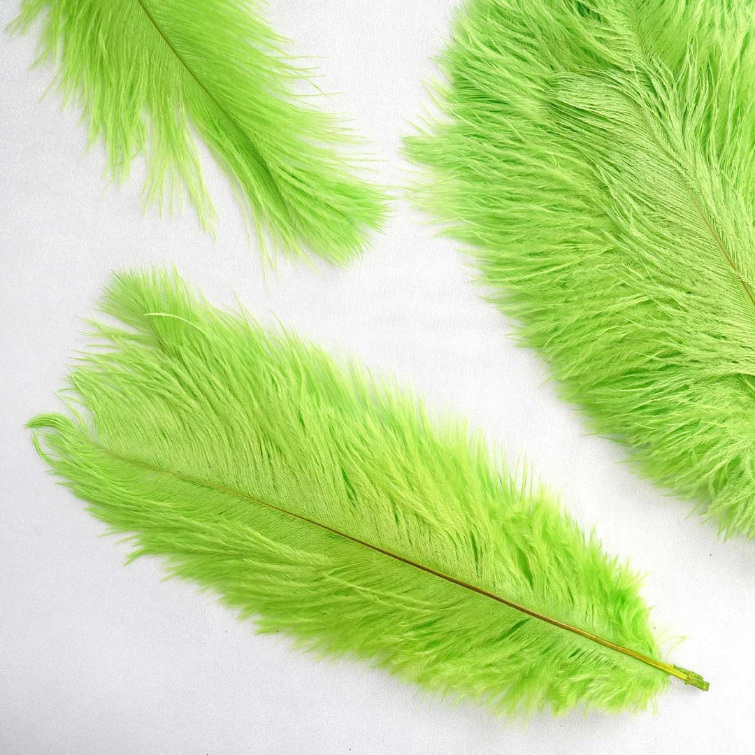 Silkflowersfactory 12 Pack | 13"-15" Natural Plume Real Ostrich Feathers Vase Centerpiece - Green 4 Silkflowersfactory 12 Pack | 13"-15" Natural Plume Real Ostrich Feathers Vase Centerpiece - Green