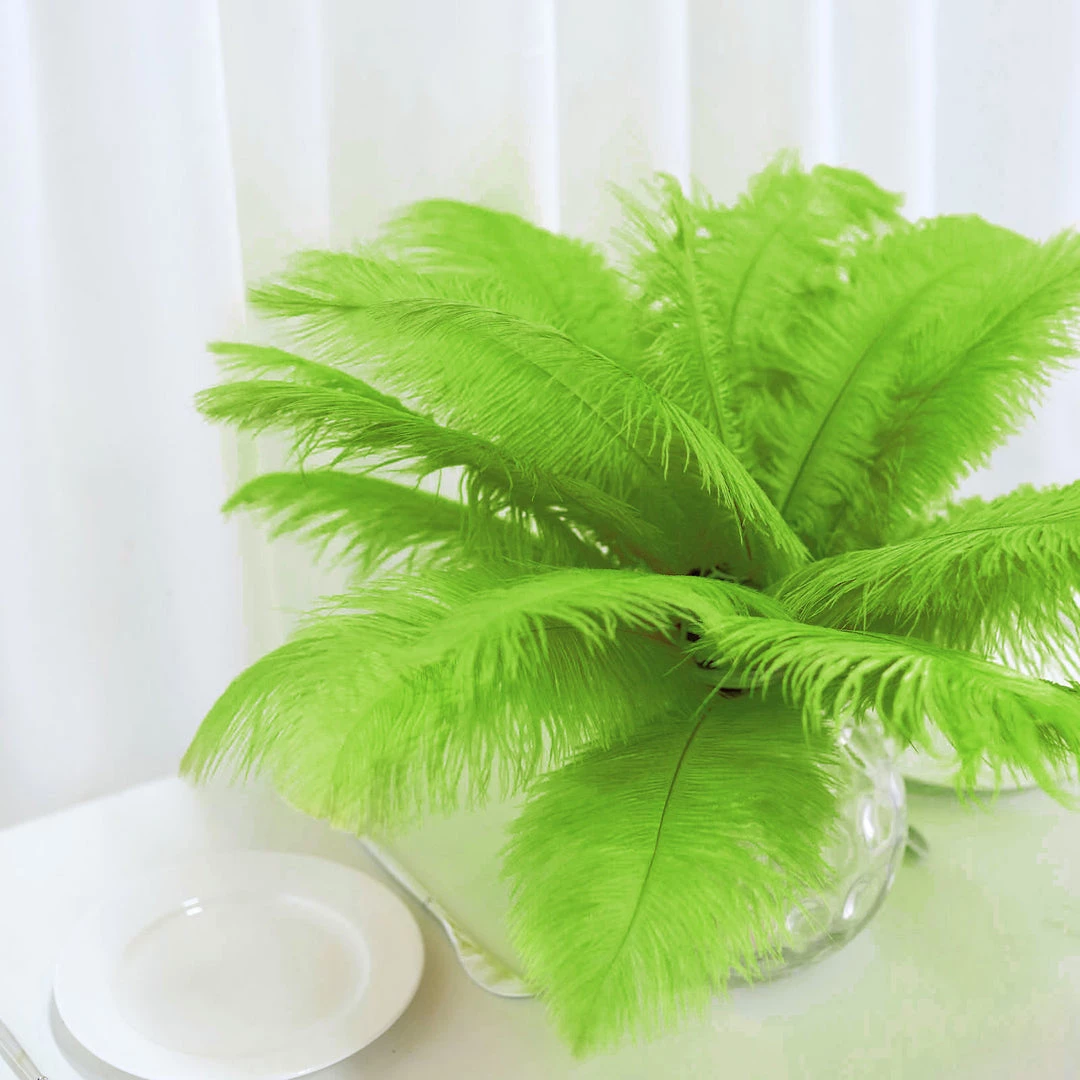 Silkflowersfactory 12 Pack | 13"-15" Natural Plume Real Ostrich Feathers Vase Centerpiece - Green 12 Silkflowersfactory 12 Pack | 13"-15" Natural Plume Real Ostrich Feathers Vase Centerpiece - Green