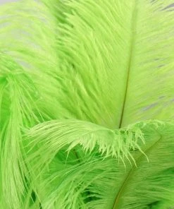 Silkflowersfactory 12 Pack | 13"-15" Natural Plume Real Ostrich Feathers Vase Centerpiece - Green 29 Silkflowersfactory 12 Pack | 13
