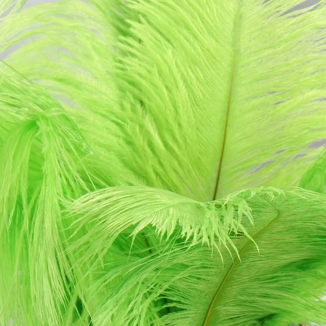 Silkflowersfactory 12 Pack | 13"-15" Natural Plume Real Ostrich Feathers Vase Centerpiece - Green 15 Silkflowersfactory 12 Pack | 13"-15" Natural Plume Real Ostrich Feathers Vase Centerpiece - Green