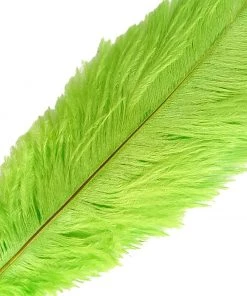 Silkflowersfactory 12 Pack | 13"-15" Natural Plume Real Ostrich Feathers Vase Centerpiece - Green 19 Silkflowersfactory 12 Pack | 13