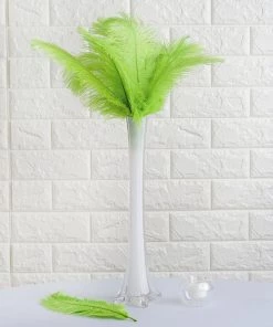 Silkflowersfactory 12 Pack | 13"-15" Natural Plume Real Ostrich Feathers Vase Centerpiece - Green 20 Silkflowersfactory 12 Pack | 13