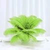 Silkflowersfactory 12 Pack | 13"-15" Natural Plume Real Ostrich Feathers Vase Centerpiece - Green 1 Silkflowersfactory 12 Pack | 13"-15" Natural Plume Real Ostrich Feathers Vase Centerpiece - Green