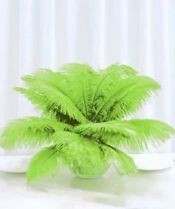 Silkflowersfactory 12 Pack | 13"-15" Natural Plume Real Ostrich Feathers Vase Centerpiece - Green