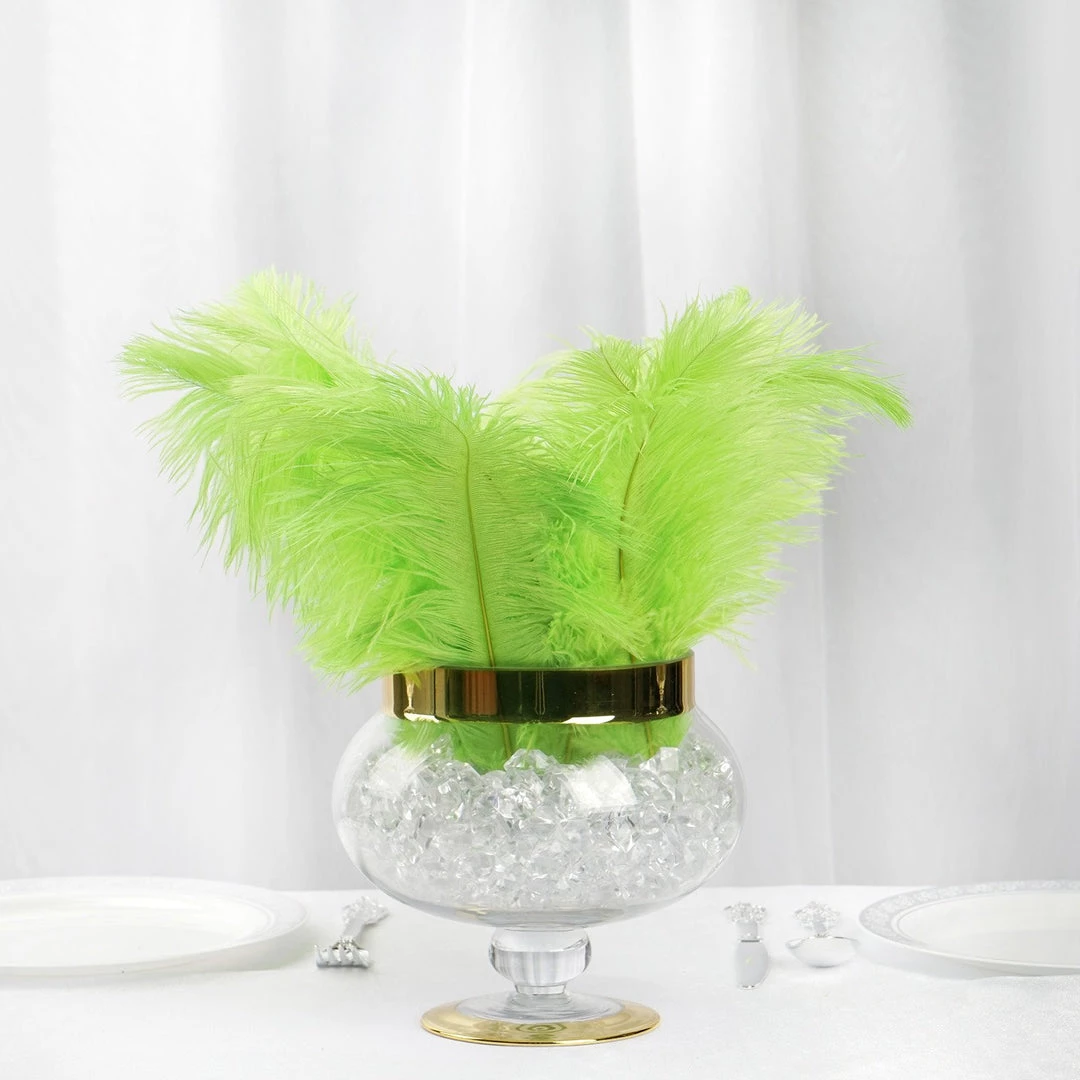 Silkflowersfactory 12 Pack | 13"-15" Natural Plume Real Ostrich Feathers Vase Centerpiece - Green 8 Silkflowersfactory 12 Pack | 13"-15" Natural Plume Real Ostrich Feathers Vase Centerpiece - Green