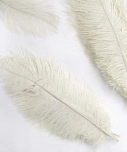 Silkflowersfactory 12 Pack | 13"-15" Natural Plume Real Ostrich Feathers Vase Centerpiece - Cream / Ivory