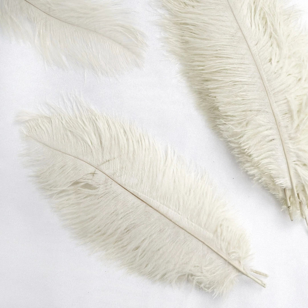 Silkflowersfactory 12 Pack | 13"-15" Natural Plume Real Ostrich Feathers Vase Centerpiece - Cream / Ivory 4 Silkflowersfactory 12 Pack | 13"-15" Natural Plume Real Ostrich Feathers Vase Centerpiece - Cream / Ivory