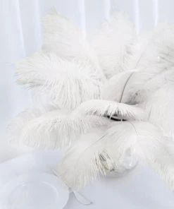 Silkflowersfactory 12 Pack | 13"-15" Natural Plume Real Ostrich Feathers Vase Centerpiece - Cream / Ivory 18 Silkflowersfactory 12 Pack | 13