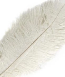 Silkflowersfactory 12 Pack | 13"-15" Natural Plume Real Ostrich Feathers Vase Centerpiece - Cream / Ivory 14 Silkflowersfactory 12 Pack | 13