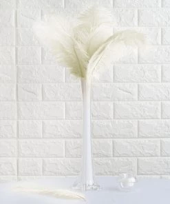 Silkflowersfactory 12 Pack | 13"-15" Natural Plume Real Ostrich Feathers Vase Centerpiece - Cream / Ivory 15 Silkflowersfactory 12 Pack | 13