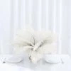Silkflowersfactory 12 Pack | 13"-15" Natural Plume Real Ostrich Feathers Vase Centerpiece - Cream / Ivory 2 Silkflowersfactory 12 Pack | 13"-15" Natural Plume Real Ostrich Feathers Vase Centerpiece - Cream / Ivory