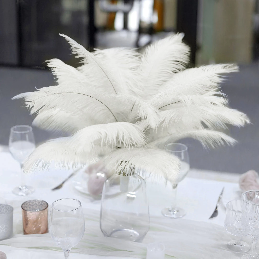 Silkflowersfactory 12 Pack | 13"-15" Natural Plume Real Ostrich Feathers Vase Centerpiece - Cream / Ivory 10 Silkflowersfactory 12 Pack | 13"-15" Natural Plume Real Ostrich Feathers Vase Centerpiece - Cream / Ivory