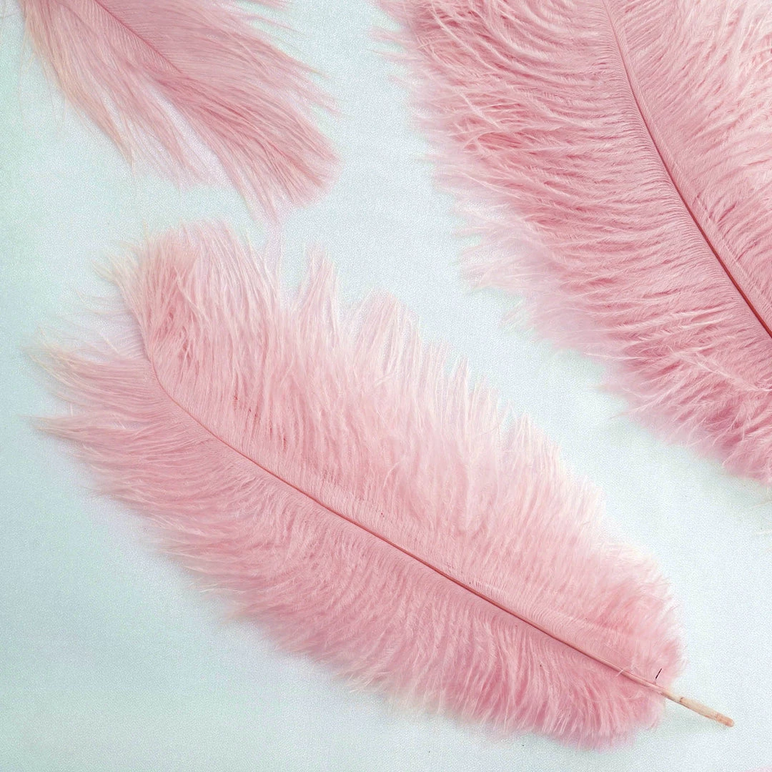 Silkflowersfactory 12 Pack | 13"-15" Natural Plume Real Ostrich Feathers Vase Centerpiece - Pink 4 Silkflowersfactory 12 Pack | 13"-15" Natural Plume Real Ostrich Feathers Vase Centerpiece - Pink