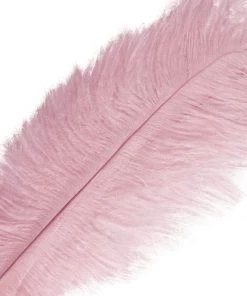 Silkflowersfactory 12 Pack | 13"-15" Natural Plume Real Ostrich Feathers Vase Centerpiece - Pink 17 Silkflowersfactory 12 Pack | 13
