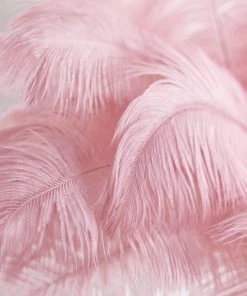 Silkflowersfactory 12 Pack | 13"-15" Natural Plume Real Ostrich Feathers Vase Centerpiece - Pink 27 Silkflowersfactory 12 Pack | 13