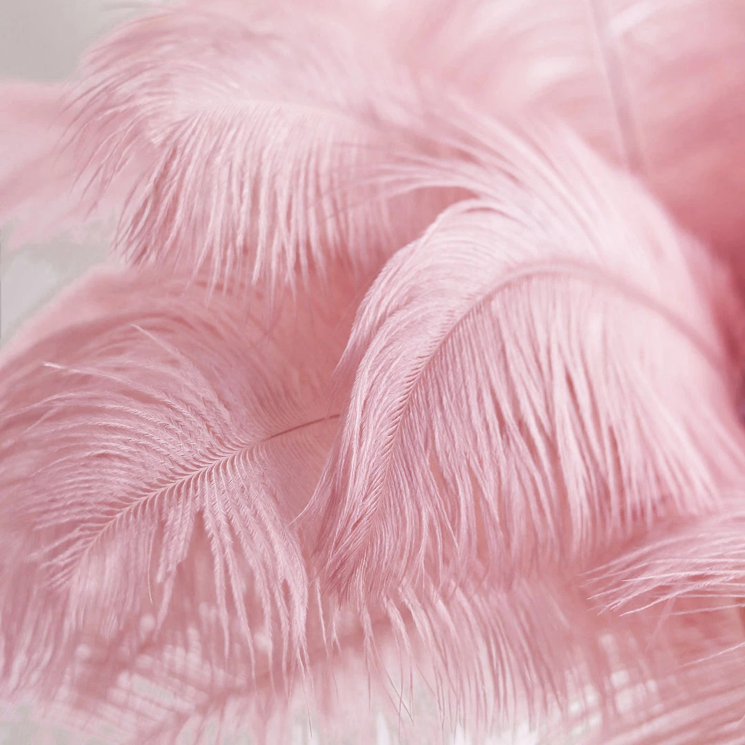 Silkflowersfactory 12 Pack | 13"-15" Natural Plume Real Ostrich Feathers Vase Centerpiece - Pink 15 Silkflowersfactory 12 Pack | 13"-15" Natural Plume Real Ostrich Feathers Vase Centerpiece - Pink