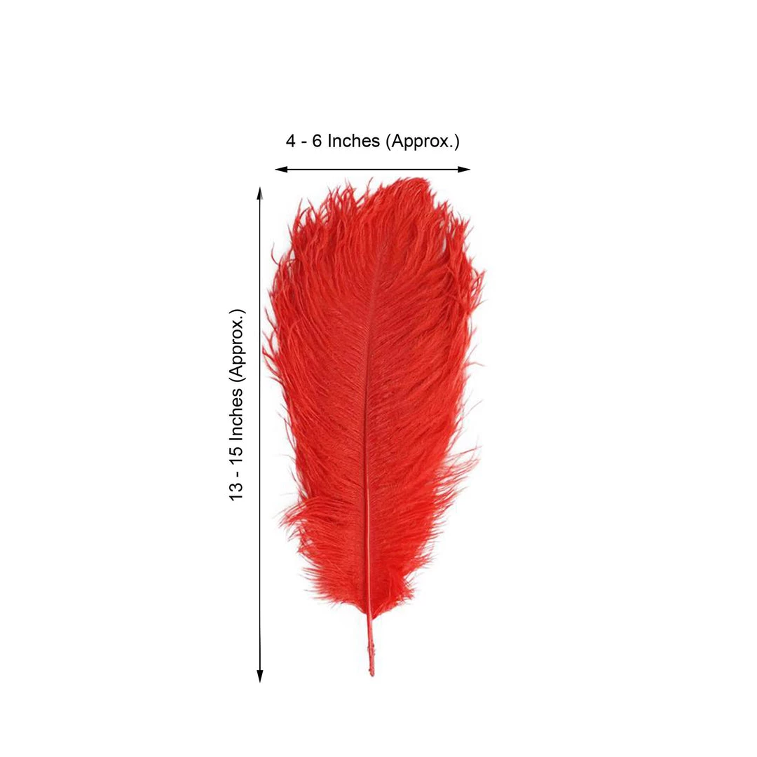 Silkflowersfactory 12 Pack | 13"-15" Natural Plume Real Ostrich Feathers Vase Centerpiece - Red 8 Silkflowersfactory 12 Pack | 13"-15" Natural Plume Real Ostrich Feathers Vase Centerpiece - Red
