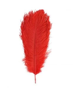 Silkflowersfactory 12 Pack | 13"-15" Natural Plume Real Ostrich Feathers Vase Centerpiece - Red 19 Silkflowersfactory 12 Pack | 13