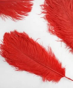 Silkflowersfactory 12 Pack | 13"-15" Natural Plume Real Ostrich Feathers Vase Centerpiece - Red