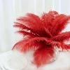 Silkflowersfactory 12 Pack | 13"-15" Natural Plume Real Ostrich Feathers Vase Centerpiece - Red 1 Silkflowersfactory 12 Pack | 13"-15" Natural Plume Real Ostrich Feathers Vase Centerpiece - Red