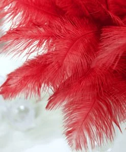 Silkflowersfactory 12 Pack | 13"-15" Natural Plume Real Ostrich Feathers Vase Centerpiece - Red 21 Silkflowersfactory 12 Pack | 13