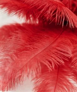 Silkflowersfactory 12 Pack | 13"-15" Natural Plume Real Ostrich Feathers Vase Centerpiece - Red 23 Silkflowersfactory 12 Pack | 13