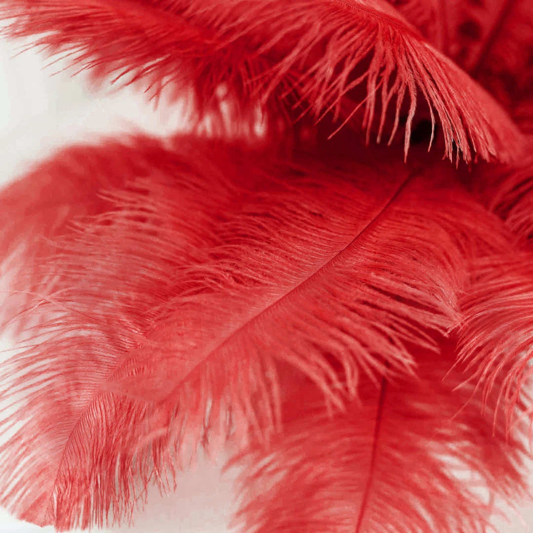 Silkflowersfactory 12 Pack | 13"-15" Natural Plume Real Ostrich Feathers Vase Centerpiece - Red 13 Silkflowersfactory 12 Pack | 13"-15" Natural Plume Real Ostrich Feathers Vase Centerpiece - Red