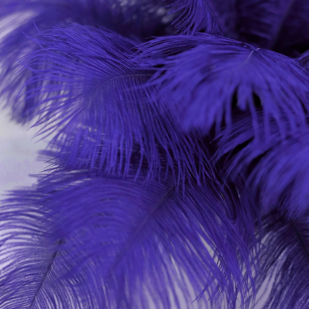 Silkflowersfactory 12 Pack | 13"-15" Natural Plume Real Ostrich Feathers Vase Centerpiece - Royal Blue 12 Silkflowersfactory 12 Pack | 13"-15" Natural Plume Real Ostrich Feathers Vase Centerpiece - Royal Blue
