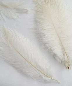 Silkflowersfactory 12 Pack | 13"-15" Natural Plume Real Ostrich Feathers Vase Centerpiece - White