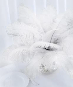 Silkflowersfactory 12 Pack | 13"-15" Natural Plume Real Ostrich Feathers Vase Centerpiece - White 12 Silkflowersfactory 12 Pack | 13