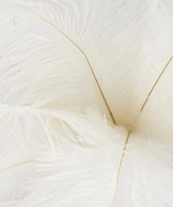 Silkflowersfactory 12 Pack | 13"-15" Natural Plume Real Ostrich Feathers Vase Centerpiece - White 14 Silkflowersfactory 12 Pack | 13