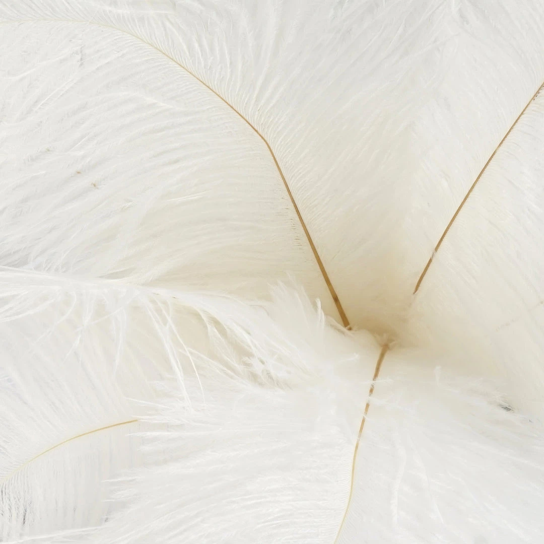 Silkflowersfactory 12 Pack | 13"-15" Natural Plume Real Ostrich Feathers Vase Centerpiece - White 7 Silkflowersfactory 12 Pack | 13"-15" Natural Plume Real Ostrich Feathers Vase Centerpiece - White