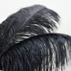 Silkflowersfactory Set Of 12 | 24"-26" Natural Plume Ostrich Feathers Centerpiece - Black 1 Silkflowersfactory Set Of 12 | 24"-26" Natural Plume Ostrich Feathers Centerpiece - Black