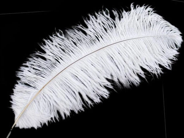 Silkflowersfactory Set Of 12 | 24"-26" Natural Plume Ostrich Feathers Centerpiece - White 4 Silkflowersfactory Set Of 12 | 24"-26" Natural Plume Ostrich Feathers Centerpiece - White