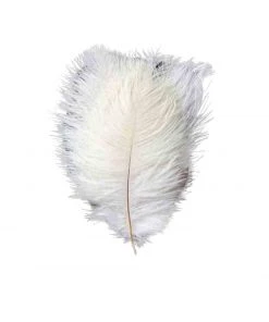Silkflowersfactory Set Of 12 | 24"-26" Natural Plume Ostrich Feathers Centerpiece - White
