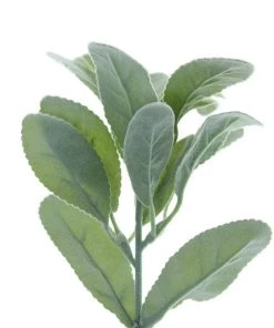 HIER_1150 Pack Of 4 | 12