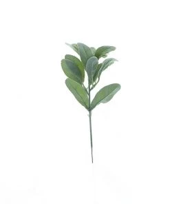 HIER_1150 Pack Of 4 | 12