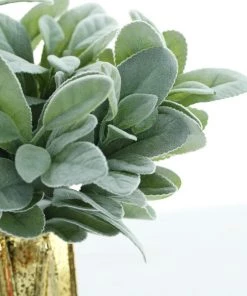 HIER_1150 Pack Of 4 | 12