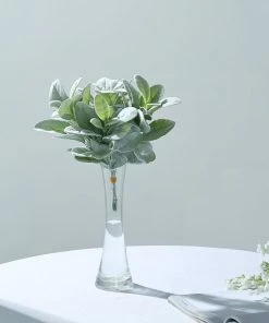 HIER_1150 Pack Of 4 | 12