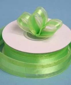 Silkflowersfactory 7/8" X 25 Yards Organza Ribbon With Satin Center - Apple Green Ribbons 7 Silkflowersfactory 7/8