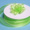 Silkflowersfactory Ribbons 7/8" X 25 Yards Organza Ribbon With Satin Edge - Apple Green 2 Silkflowersfactory Ribbons 7/8" X 25 Yards Organza Ribbon With Satin Edge - Apple Green