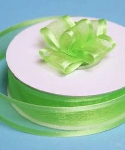 Silkflowersfactory Ribbons 7/8" X 25 Yards Organza Ribbon With Satin Edge - Apple Green