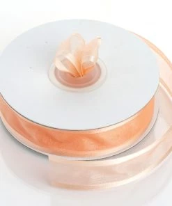 Silkflowersfactory 7/8" X 25 Yards Organza Ribbon With Satin Edge - Peach