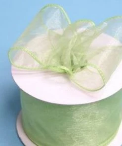 Silkflowersfactory 2.5" X 10 Yards Organza Ribbon With Wired Edge - Mint 7 Silkflowersfactory 2.5