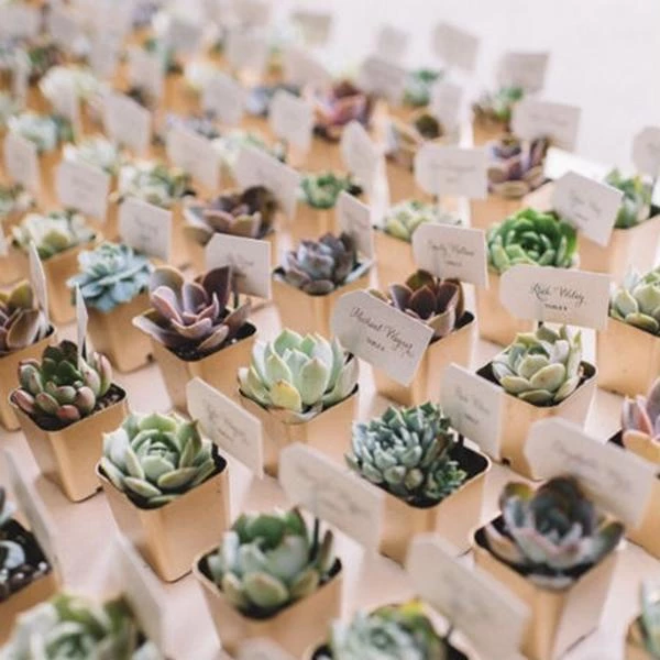 Silkflowersfactory Set Of 3 | 6" Assorted Aeonium Artificial Plants With Pots Succulents 10 Silkflowersfactory Set Of 3 | 6" Assorted Aeonium Artificial Plants With Pots Succulents