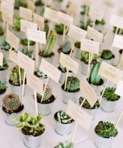 Silkflowersfactory Succulents Set Of 3 | 3'' Assorted Mini Echeveria Artificial Plants With Pots