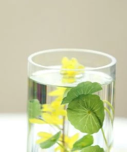 Silkflowersfactory 12" Cylinder Glass Centerpiece Vase - 6/Set Flower Vases & Decorations 24 Silkflowersfactory 12